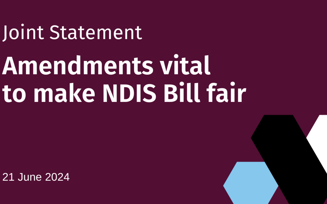 Dark purple background with words Joint Statement and Amendments vital to make NDIS Bill fair, 21 June 2024