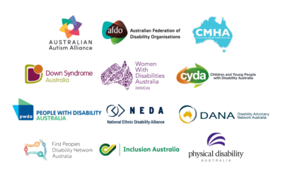 Joint Statement: Lateral Violence in the Disability Community