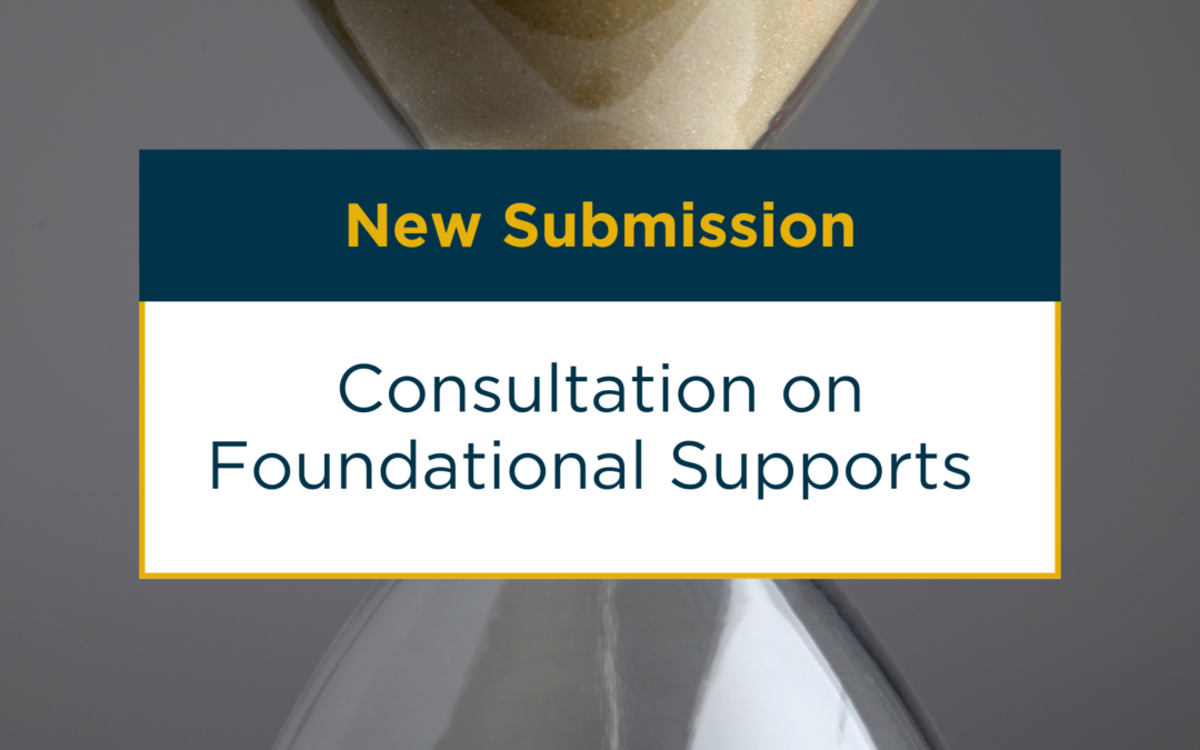 Title image for blog post on the New Submission to Consultation on Foundational Supports