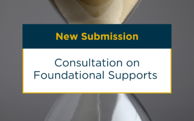 New Submission: Consultation on Foundational Supports